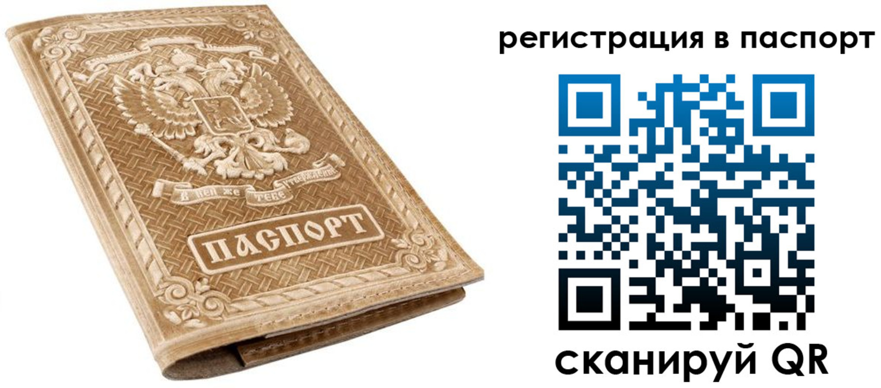 прописка в Полярных Зорях